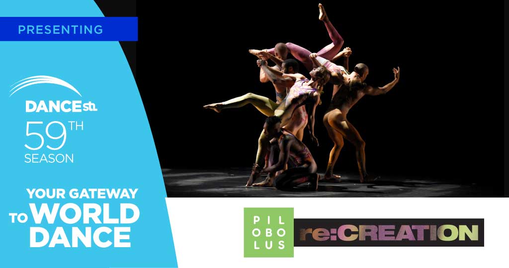 Pilobolus re:CREATION